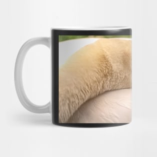 Sleeping Mute Swan 2 Mug